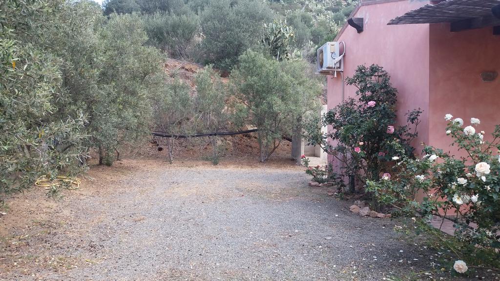 Bed and Breakfast Sumindulau Torre delle Stelle Exterior foto